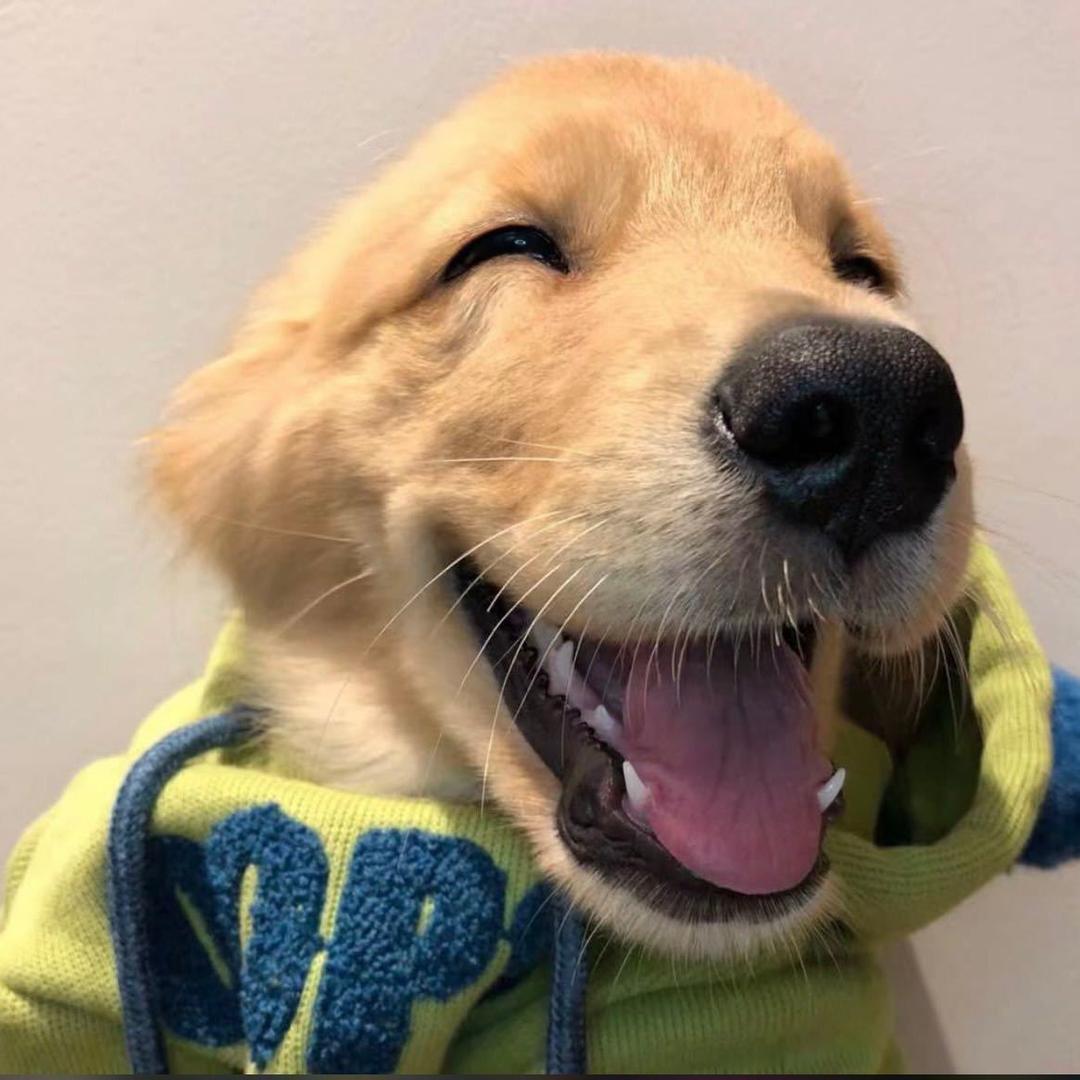 Wᴀɪᴛ