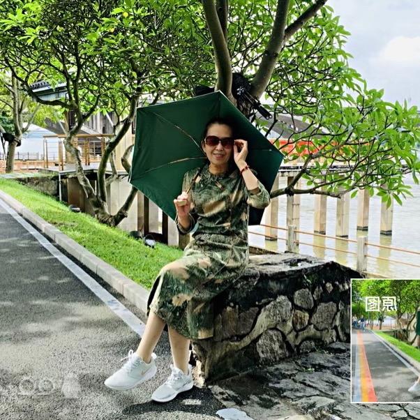 彤十👑🌈太阳花👑🌈