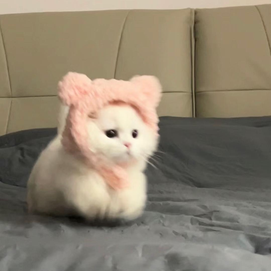 dabullkuee