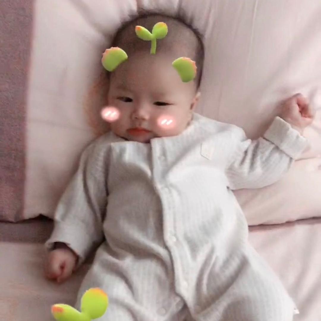 小布丁🍮
