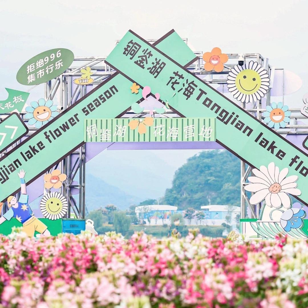 铜鉴湖花海露营地官方号