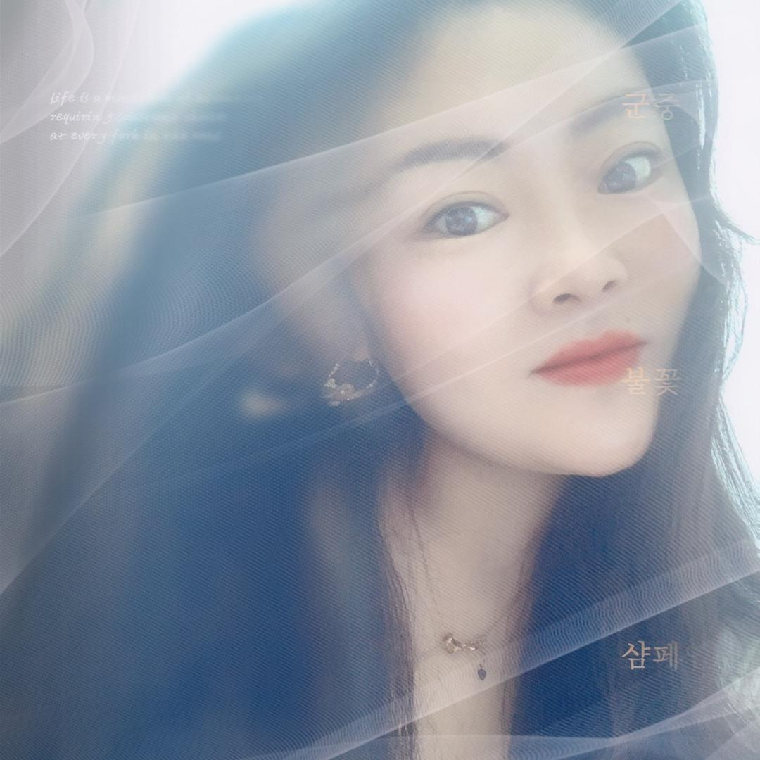 安.妮