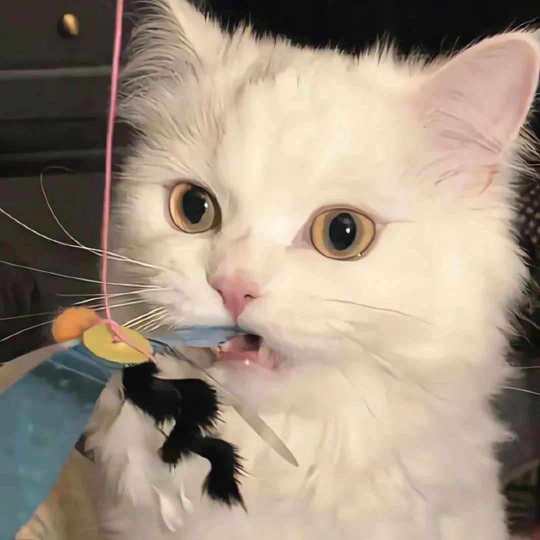 不晚睡🎀