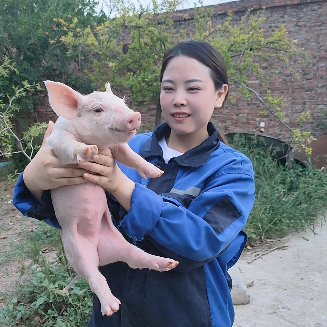 福星养猪