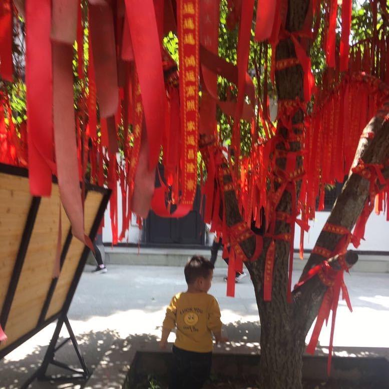 利宏养老小蓝