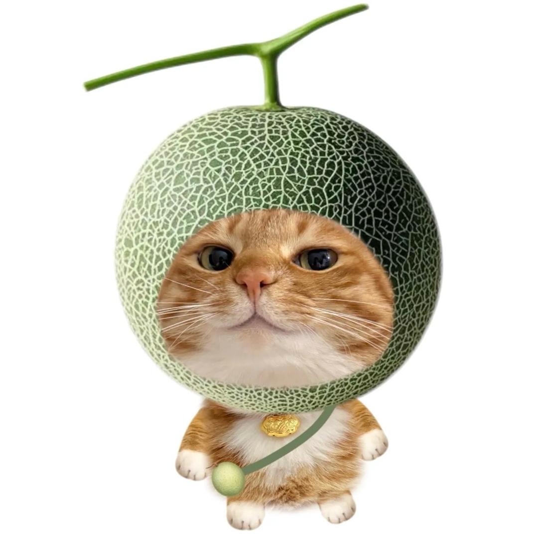 无敌莓（导购宝石项链耳钉手链）