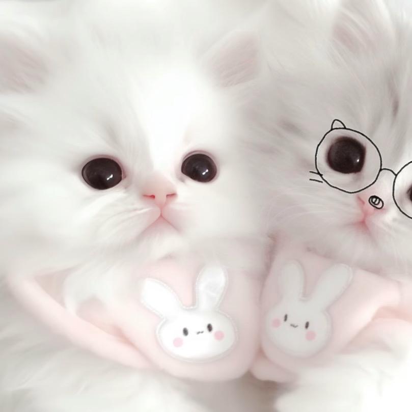 ￴ ￴ ￴￴ ￴￴ ￴￴ ￴