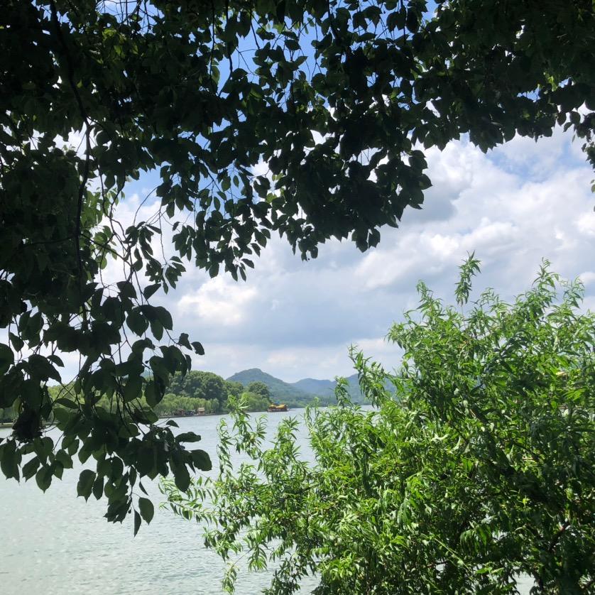 健康（红阿姨）