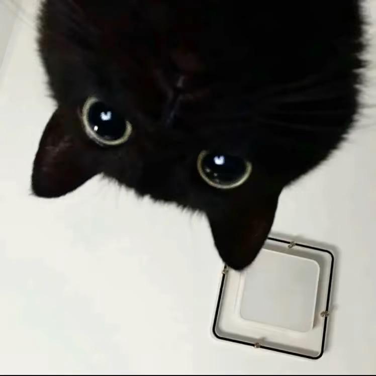 z j h