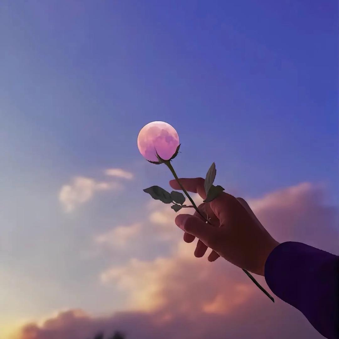 ᰔᩚ゛丶    楽楽。🌙