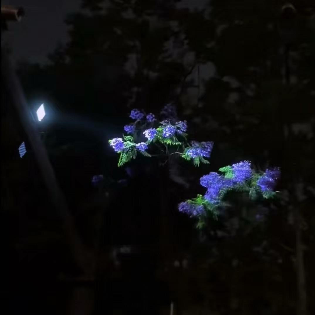 百米阳光
