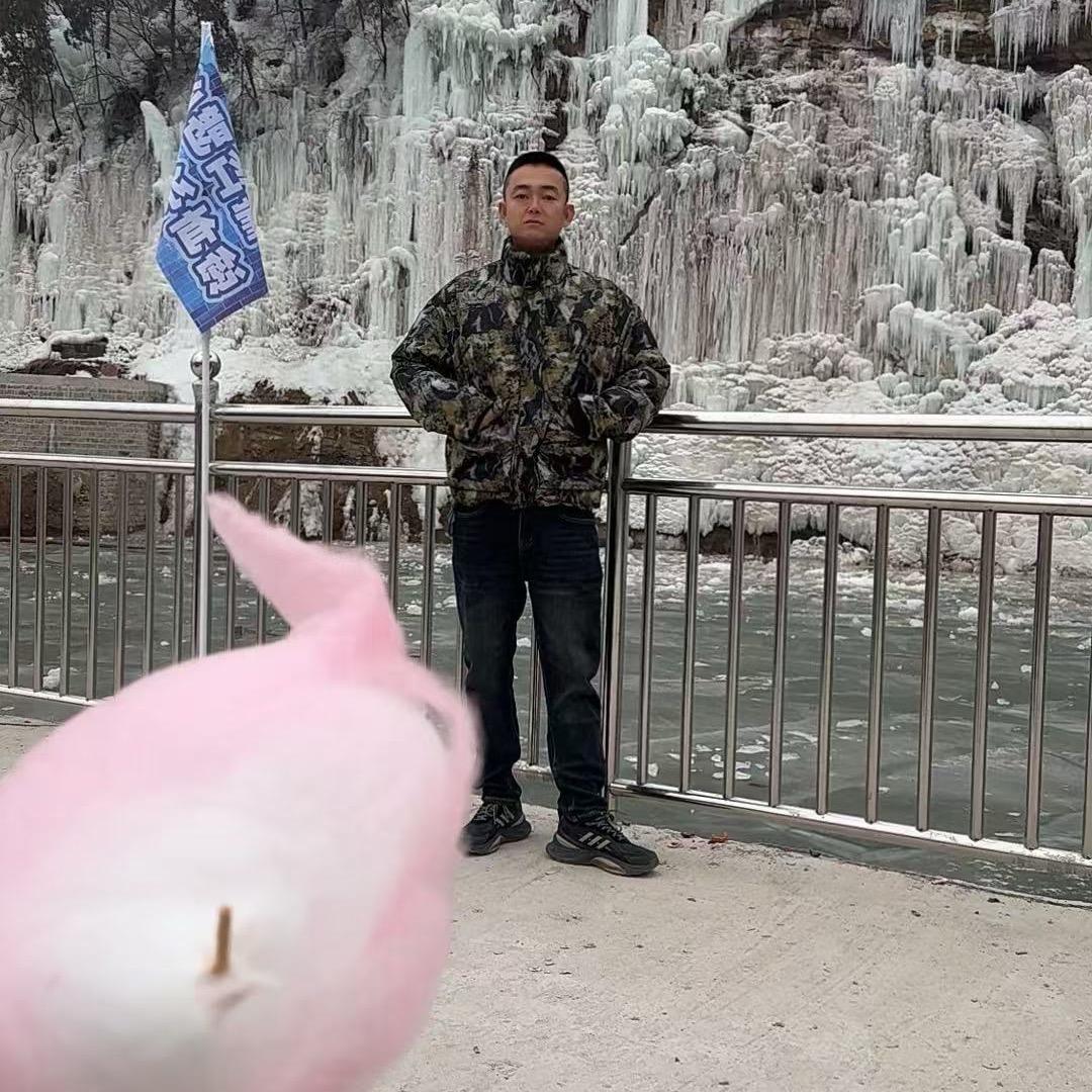 龙傲桂花盆景