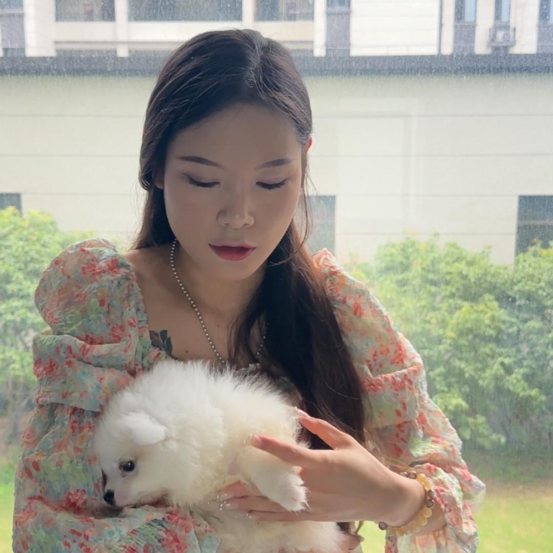 蓝蓝的发财日记📔