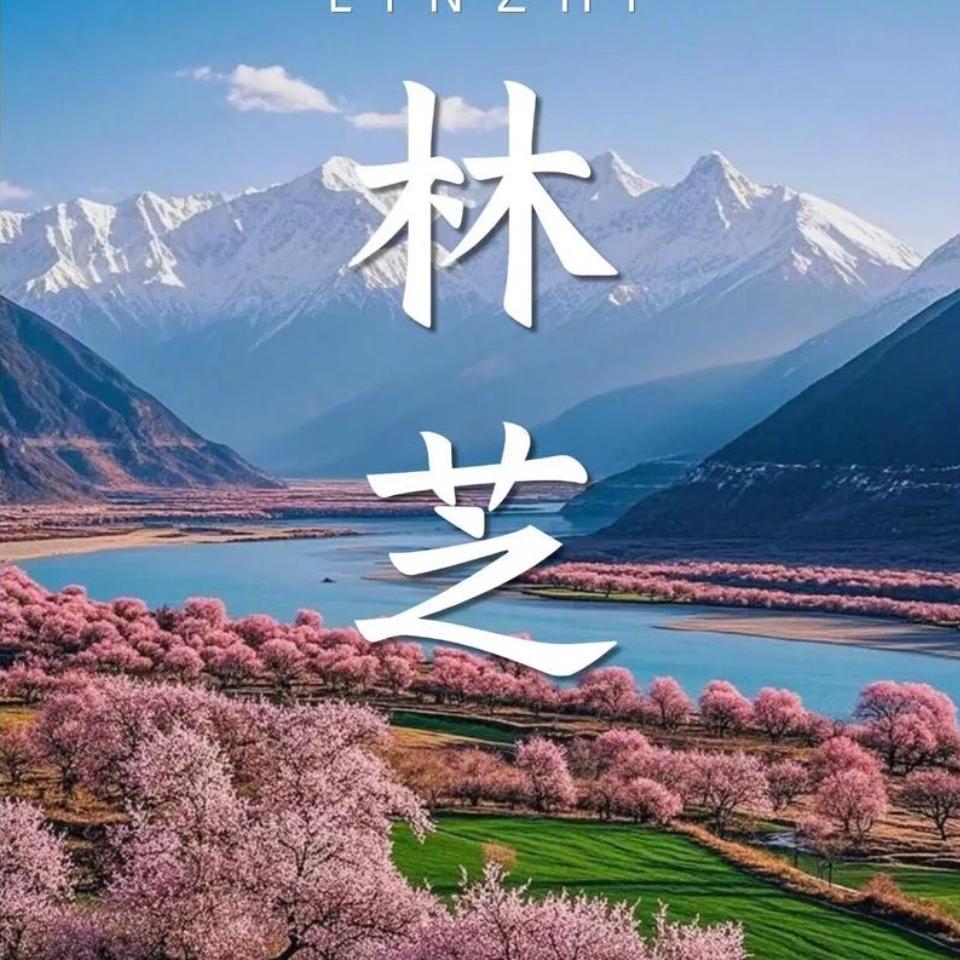 云农果蔬馆