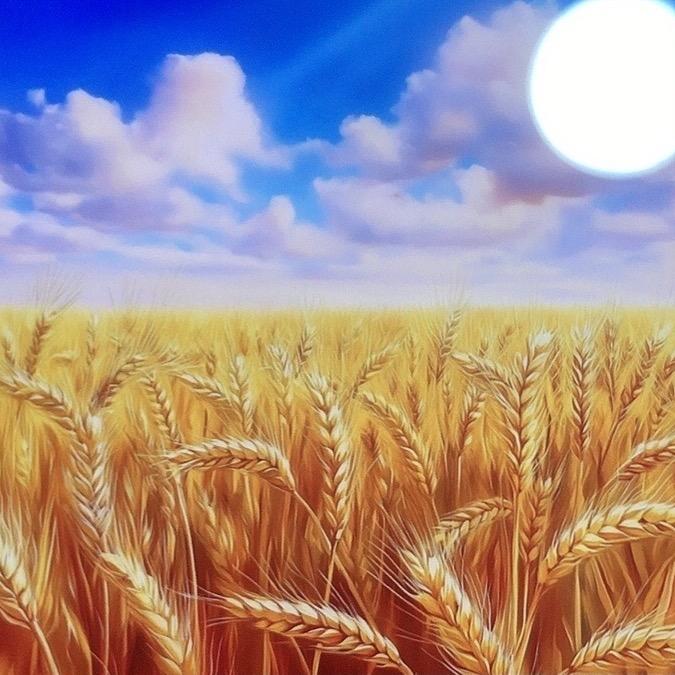 福地平价超市(福地华庭店)沃拄编文日常号