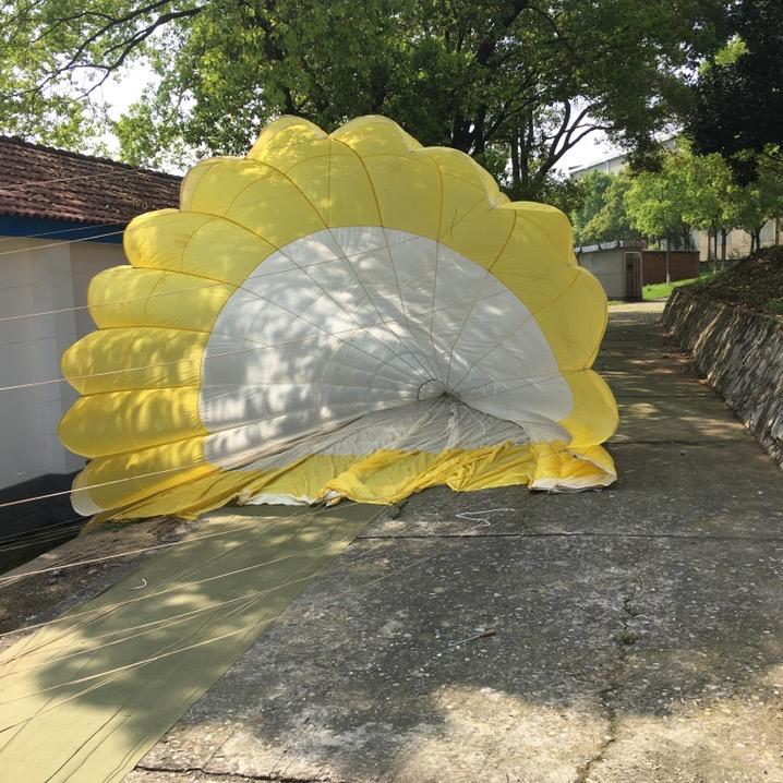 红橙黄绿