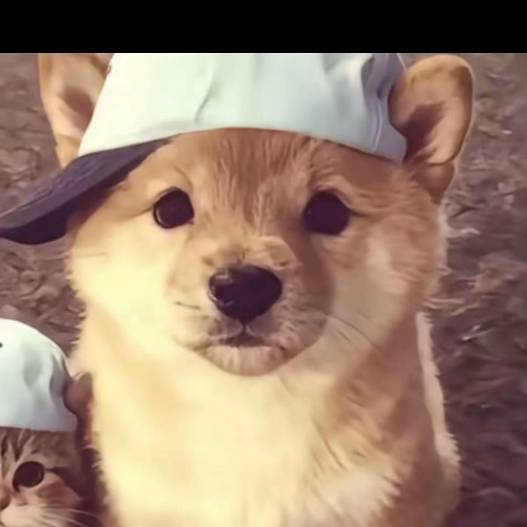 菲尔. （努力中）