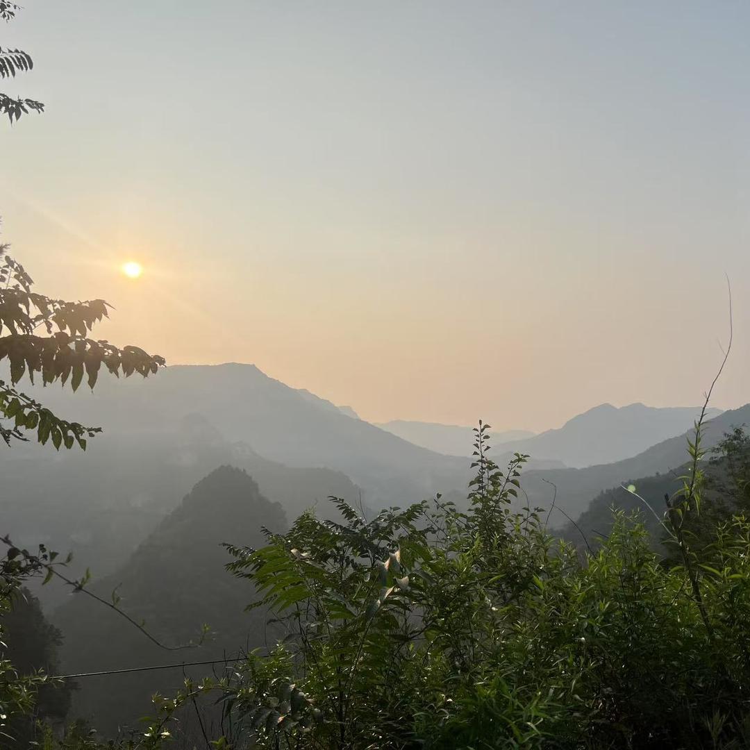 爱吃蚂蚁🐜的小姐姐