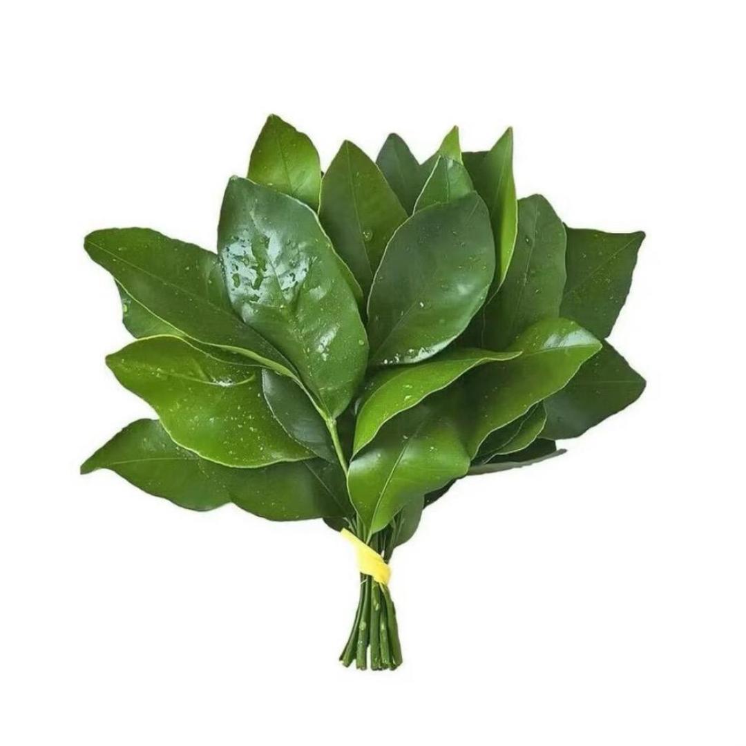 苹什么
