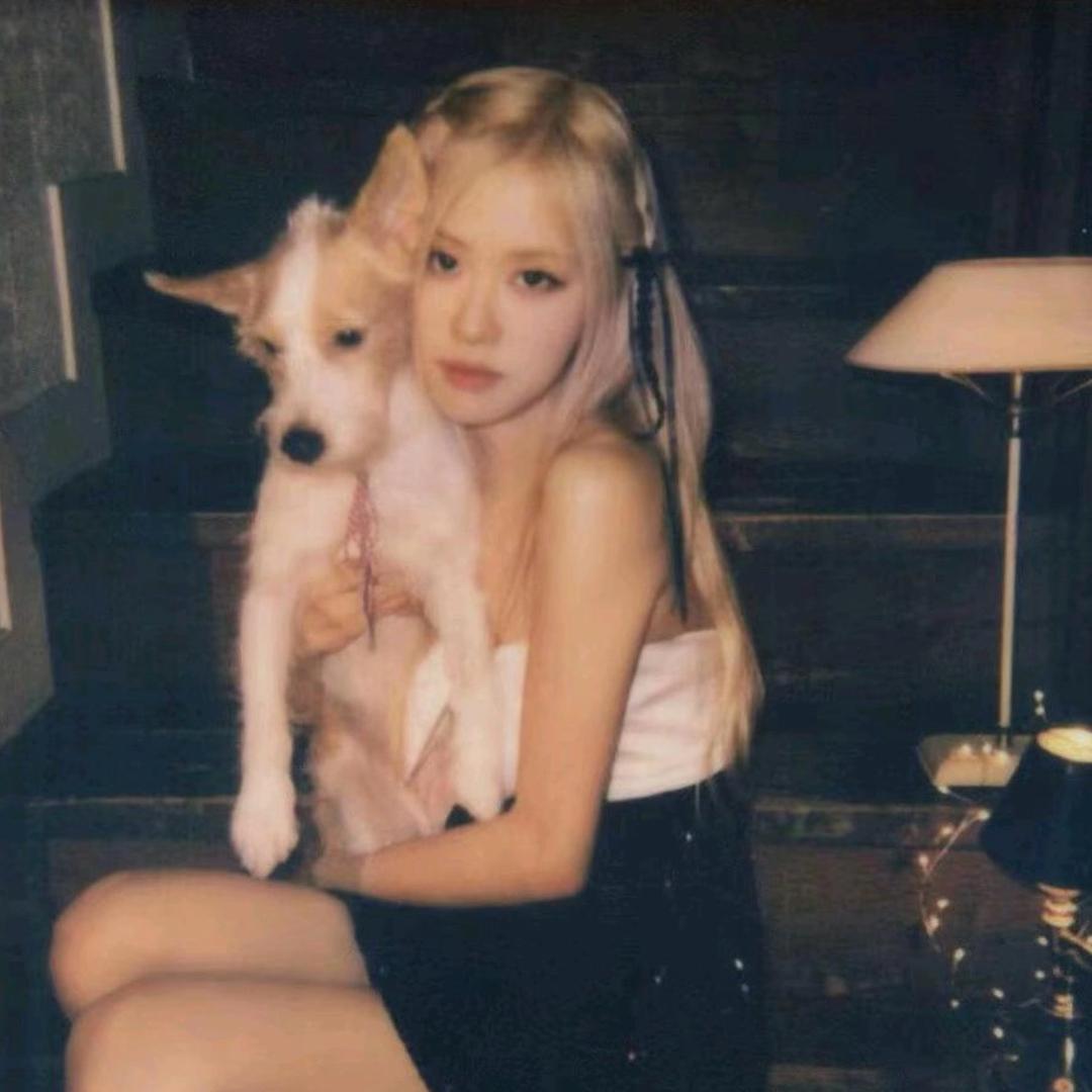 悲伤的猪大肠🐽