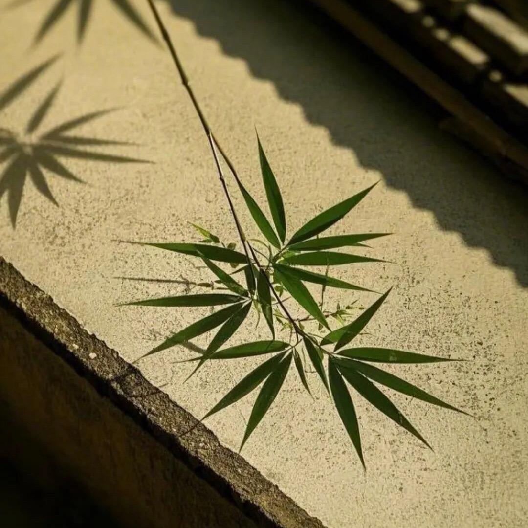 晚晚晚