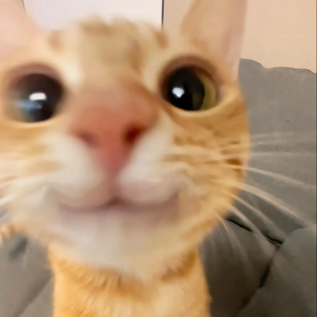 小玛