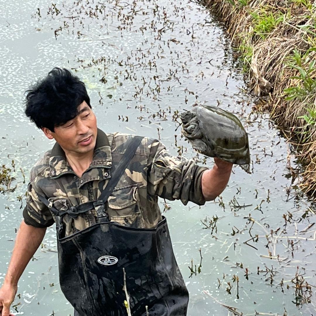 鱼哥小杨小号