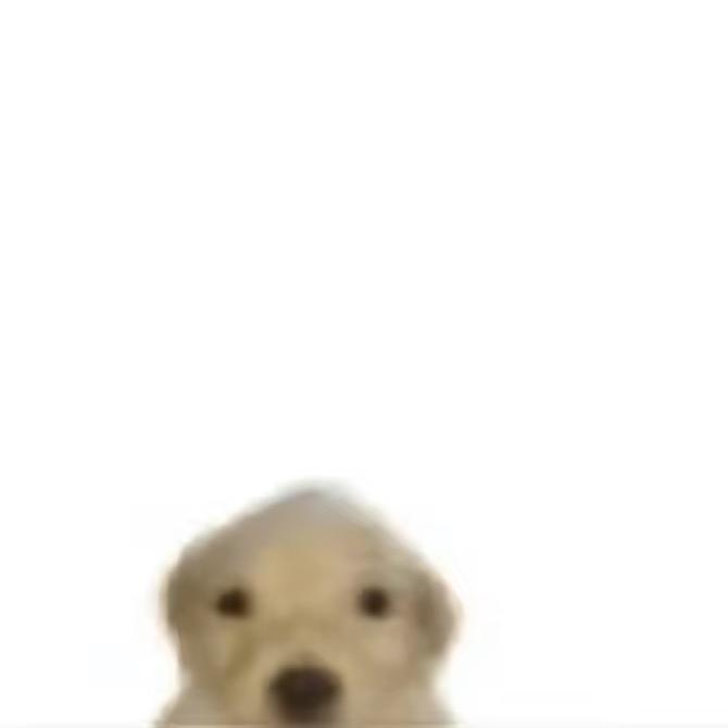 我要土豆焖螃蟹＾