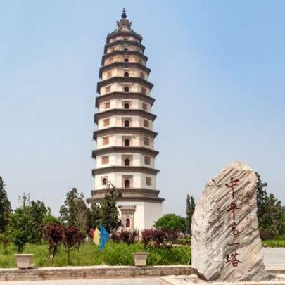 心善福自来🐕东➖亭🏆张