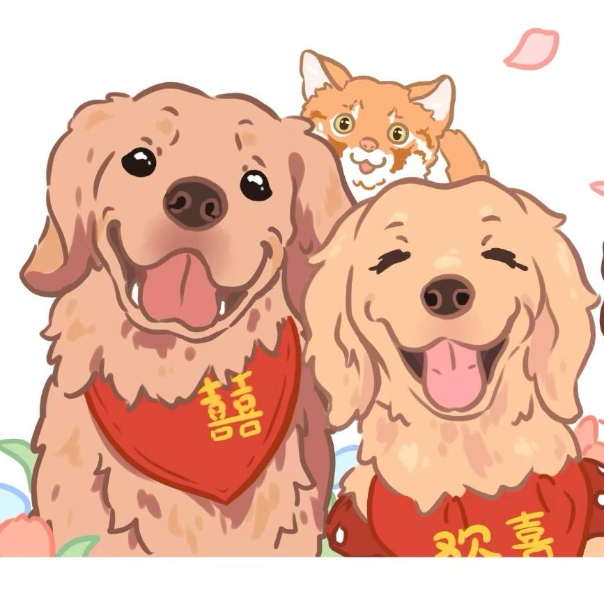 安安欢喜托儿所遛狗日常🐶
