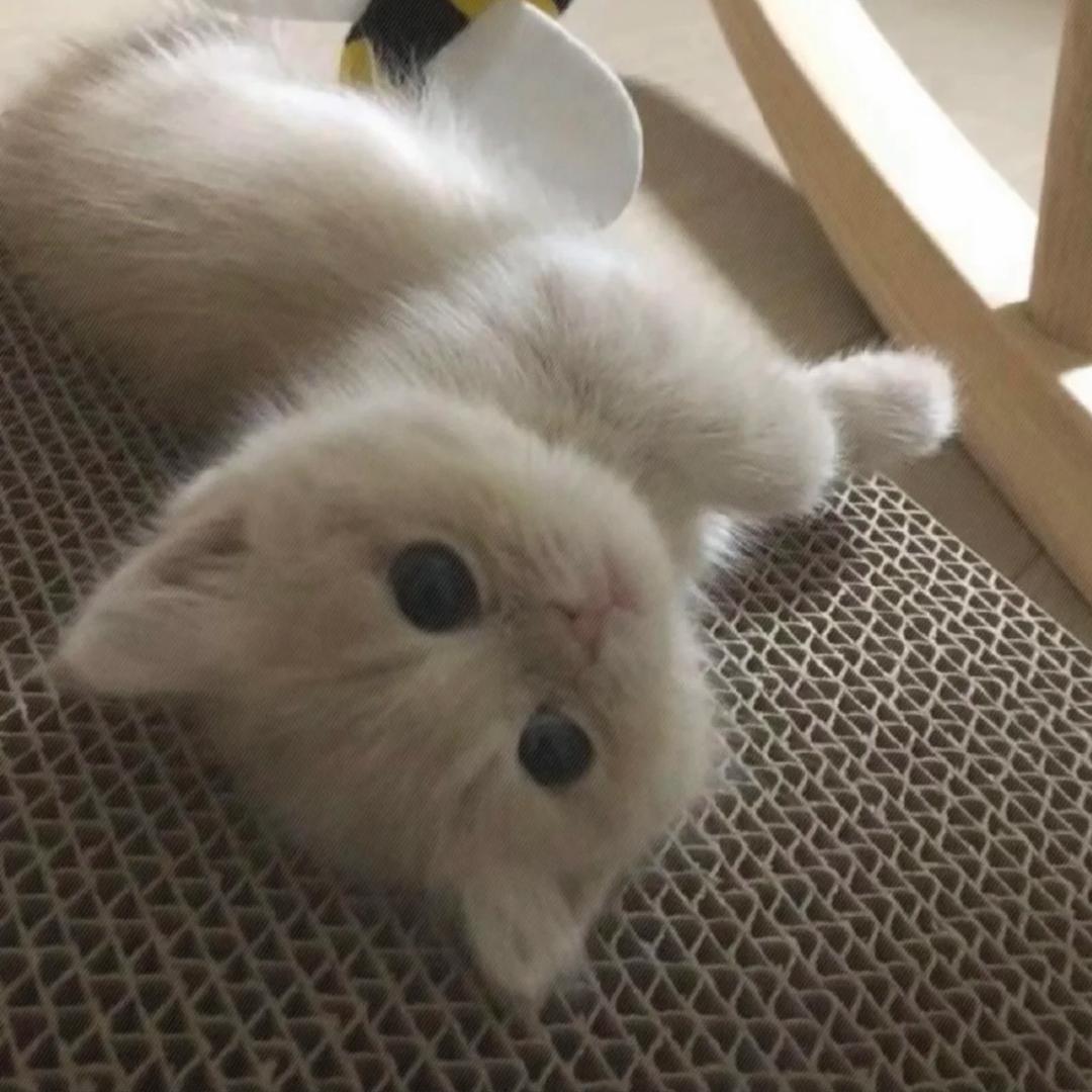 tt