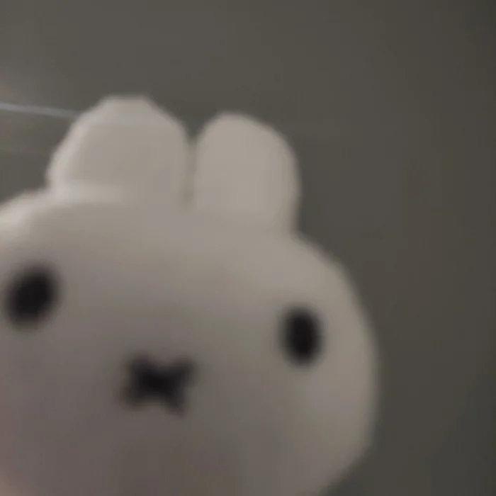 一条年糕