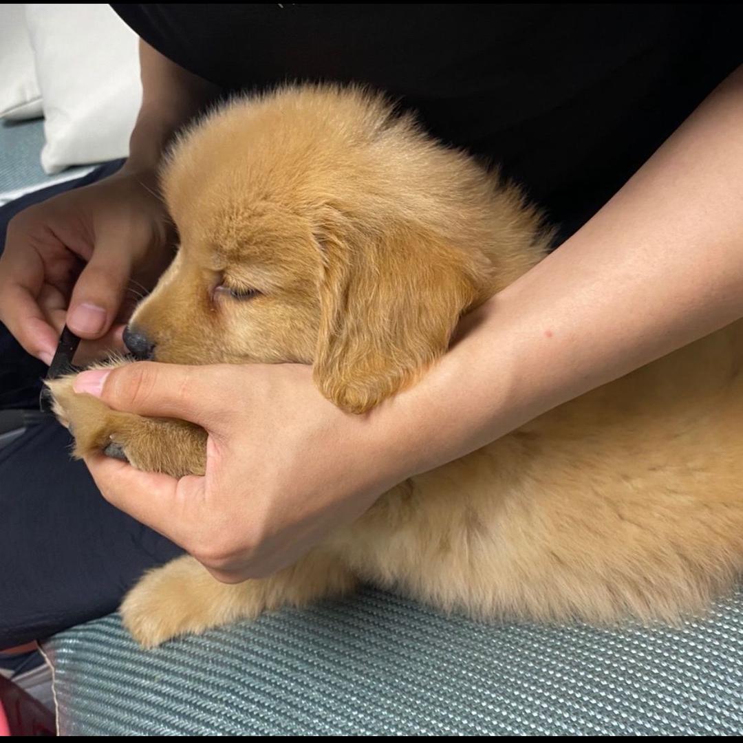 是你吗，Lucky？