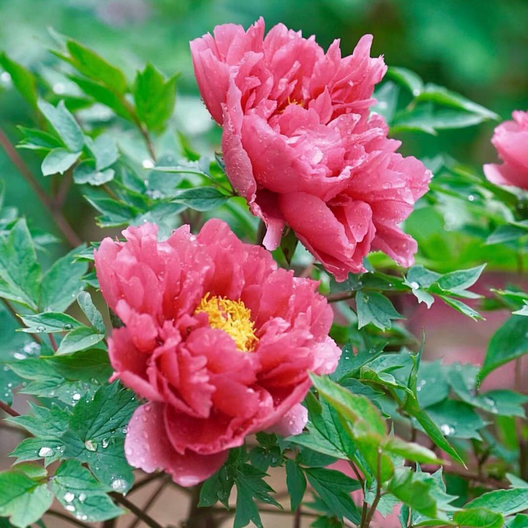 风永远不会顺着你的头发吹