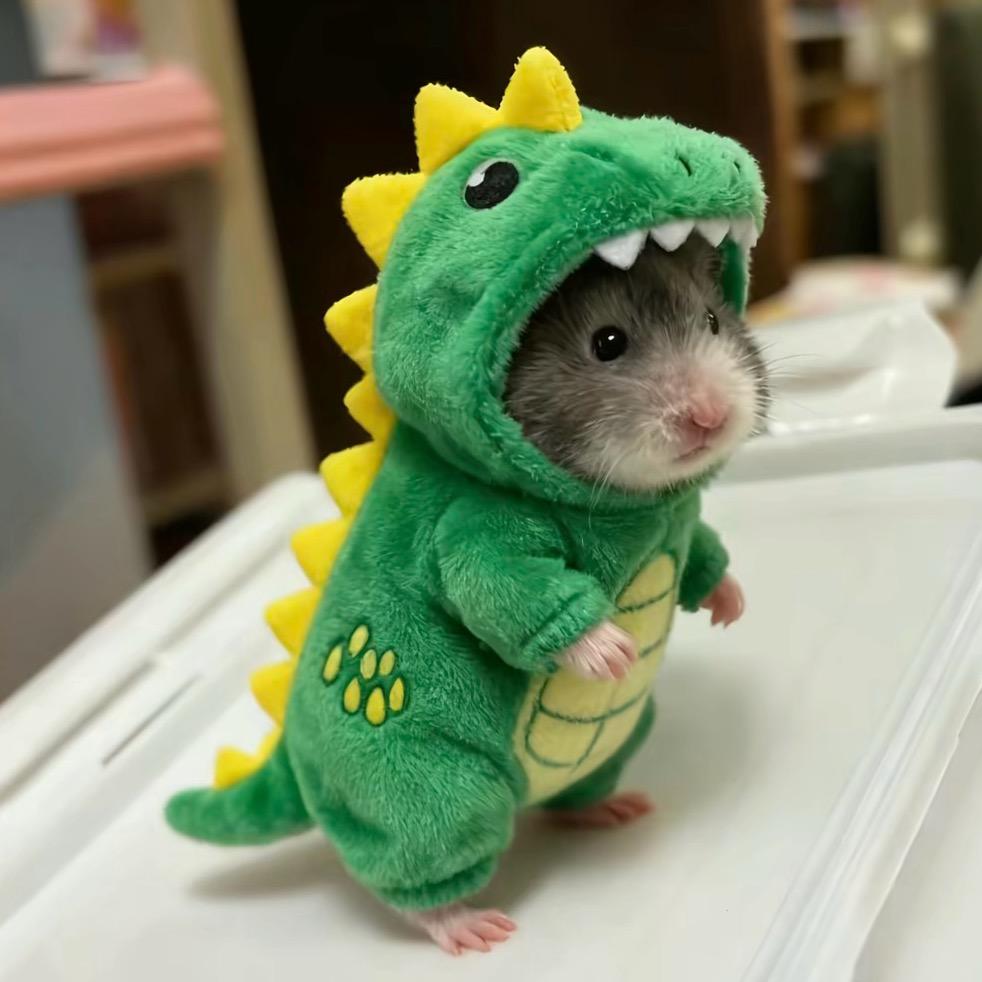 霸总已经十年没笑了