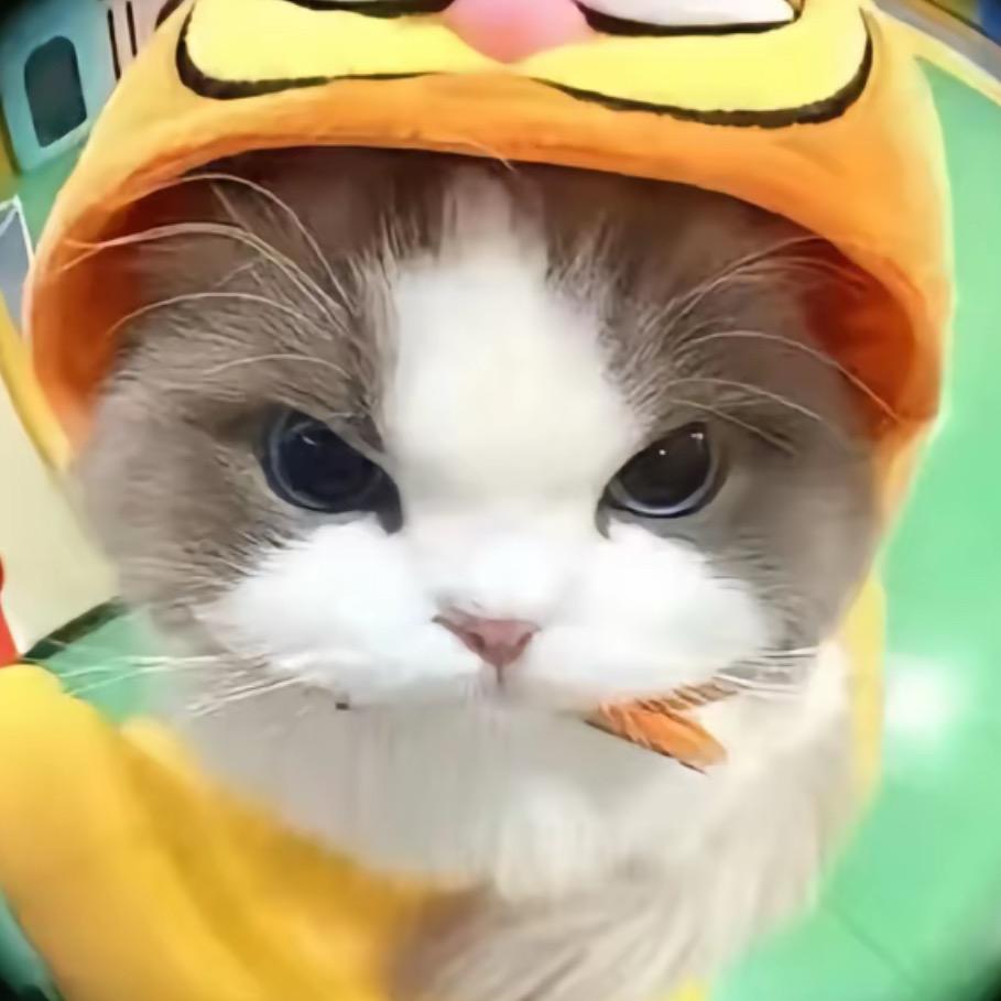 一只小蜜冯