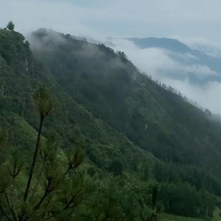 凤瑶阁