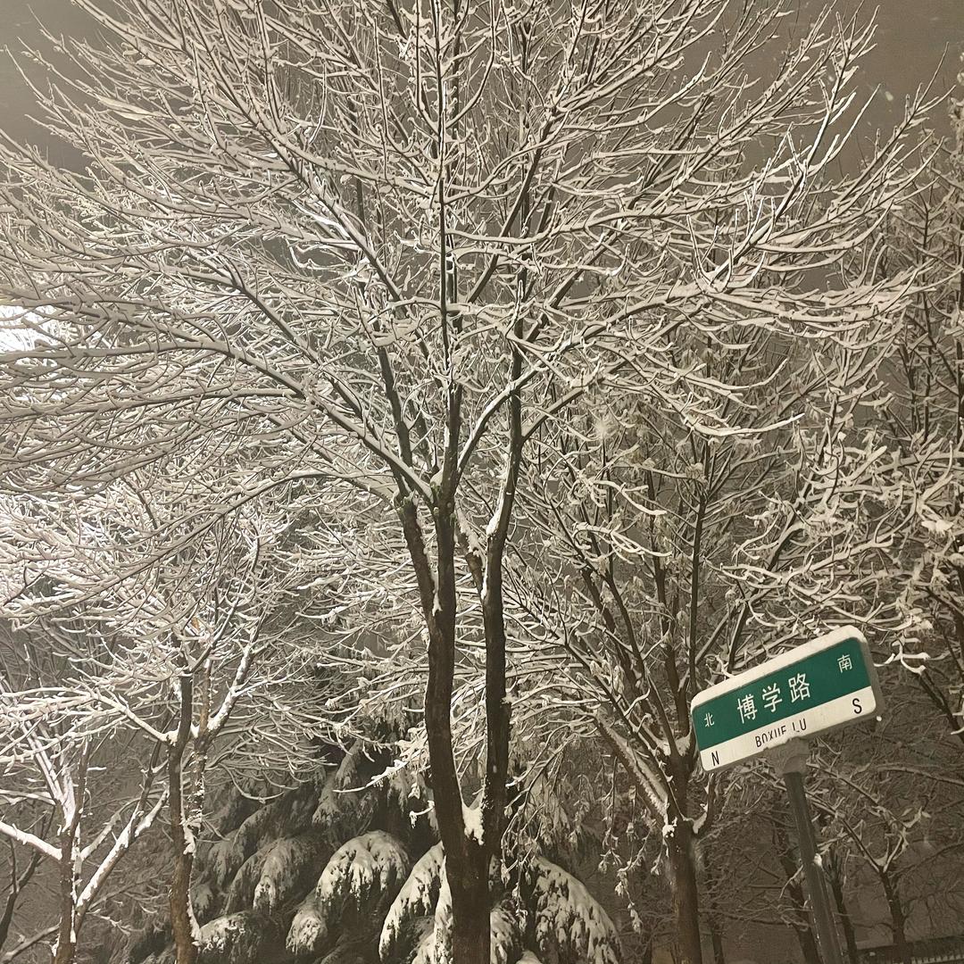 阳光小米果