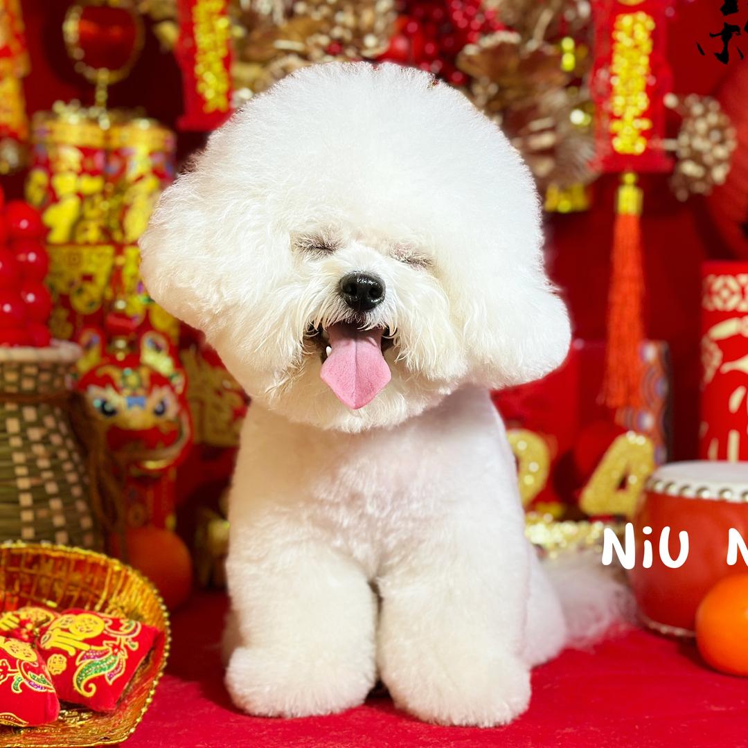 白白桃