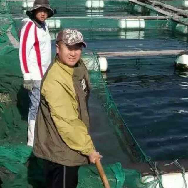 掌上红岛