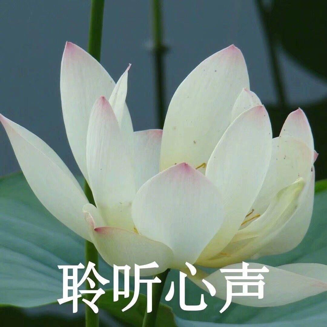 玟启故事会