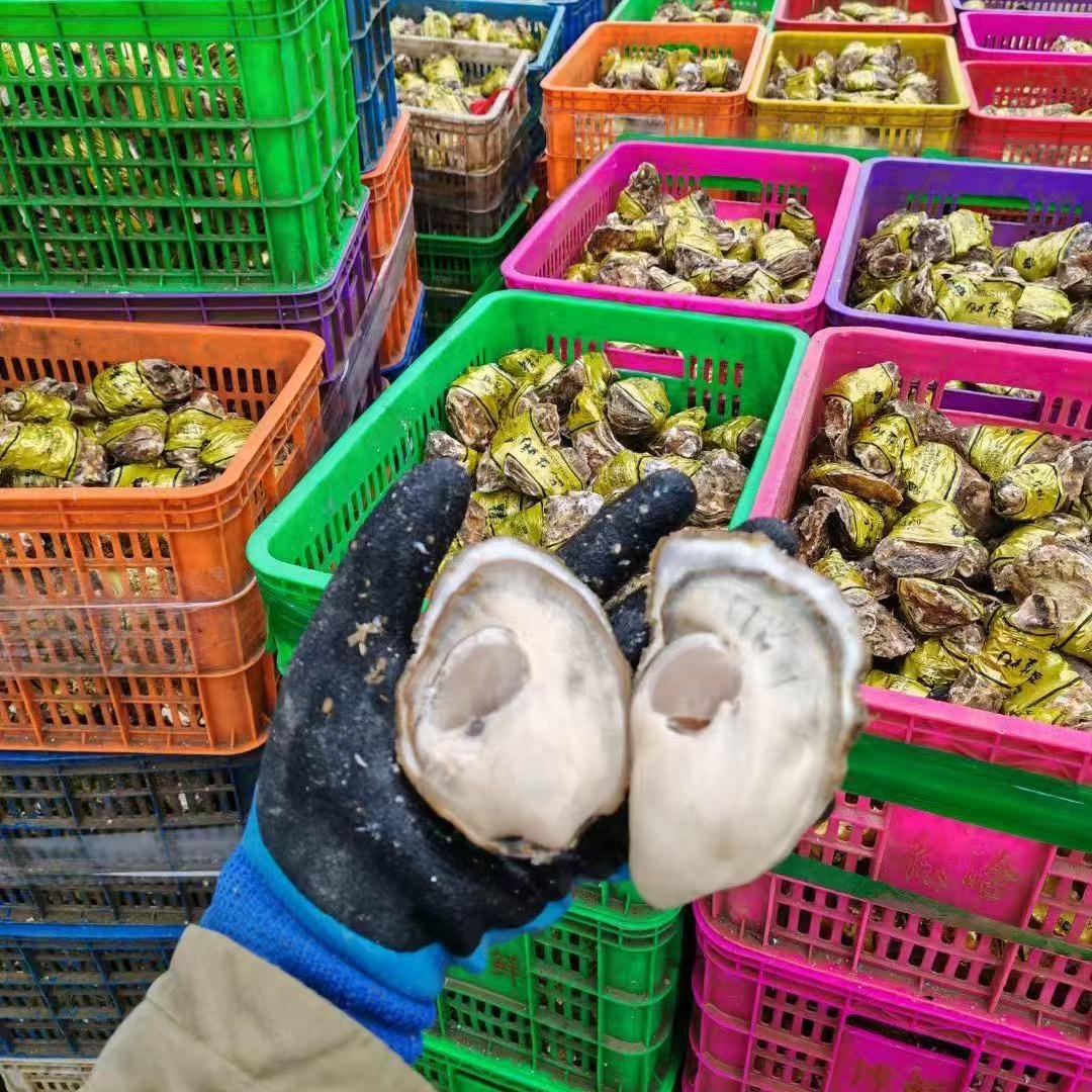 卓宽商贸有限公司