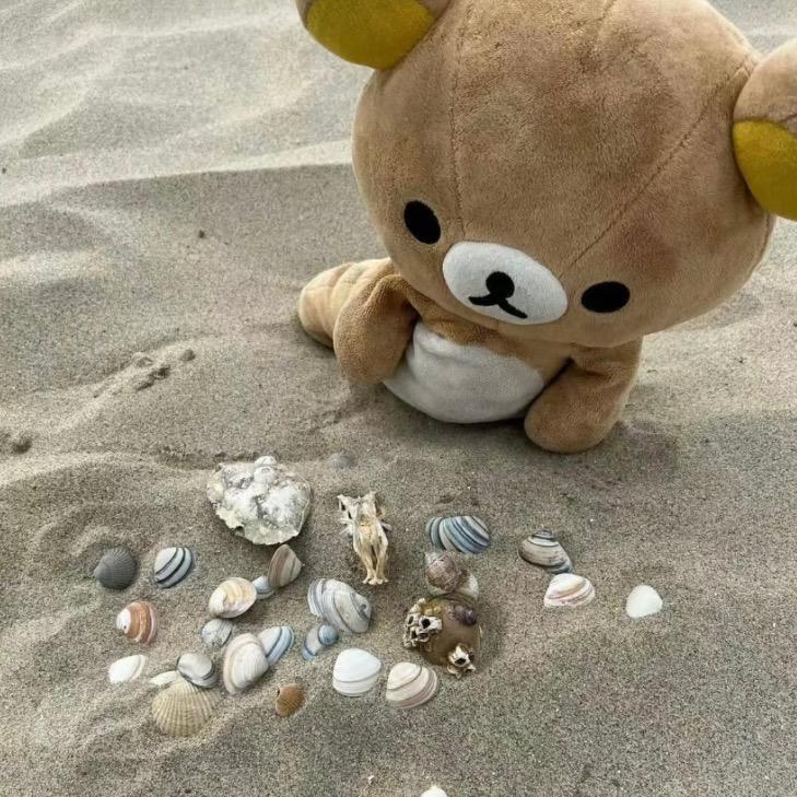 羊羊王子*_x