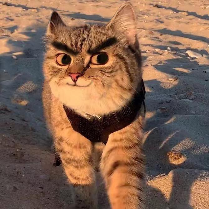 有点灰小公举@抖音