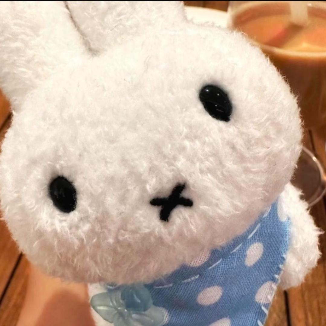 一口苹果zZ