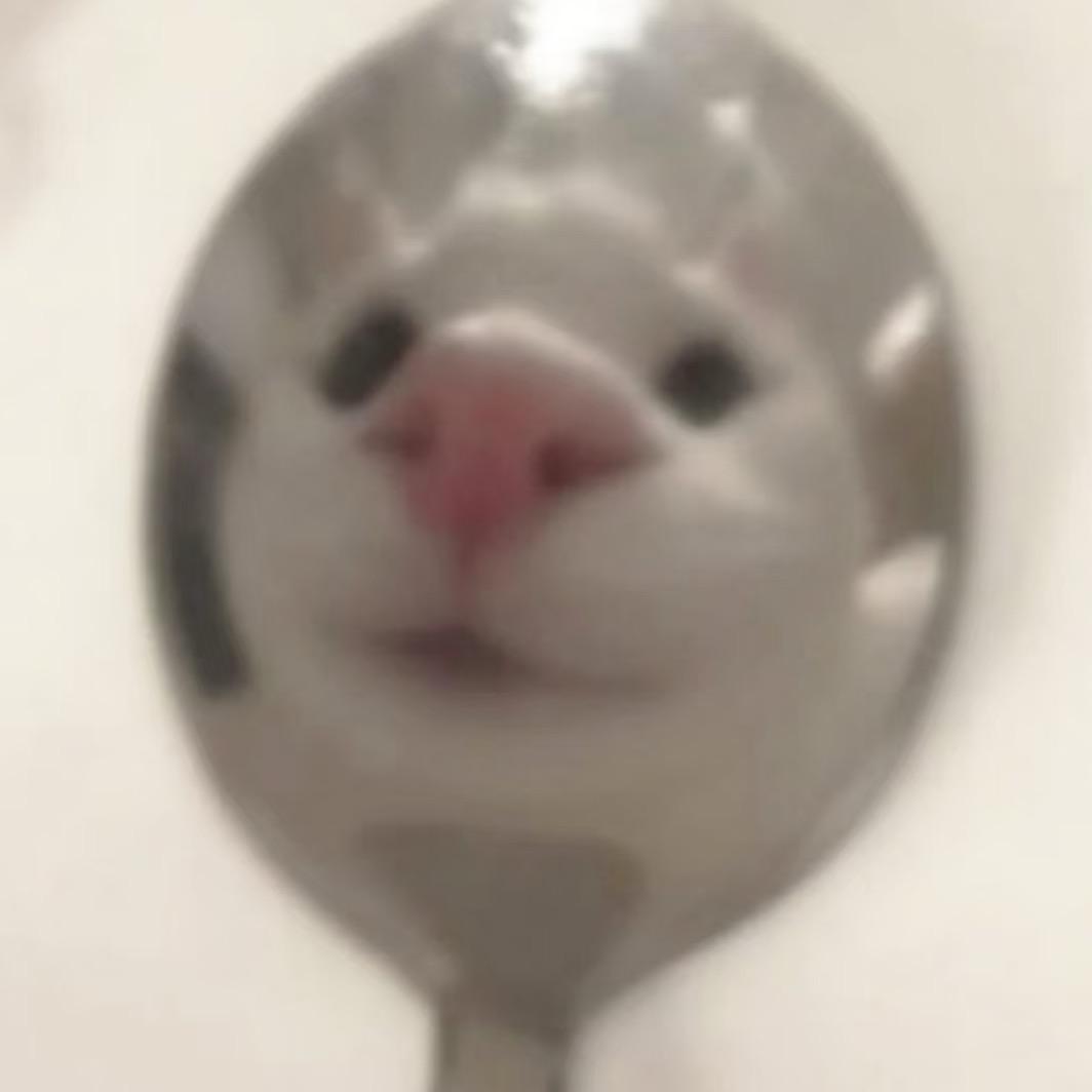 兔豆饼