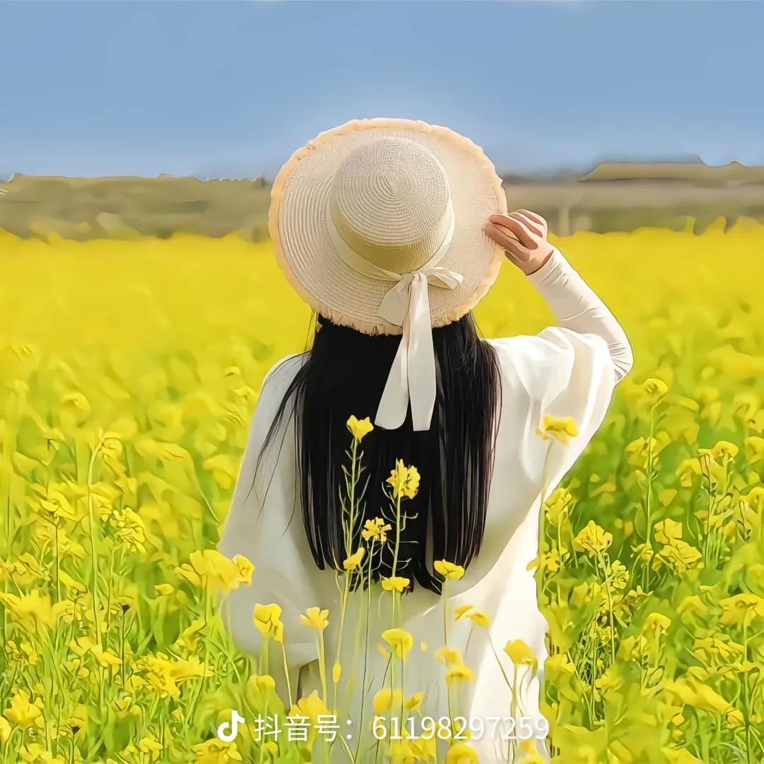 甄宝玉