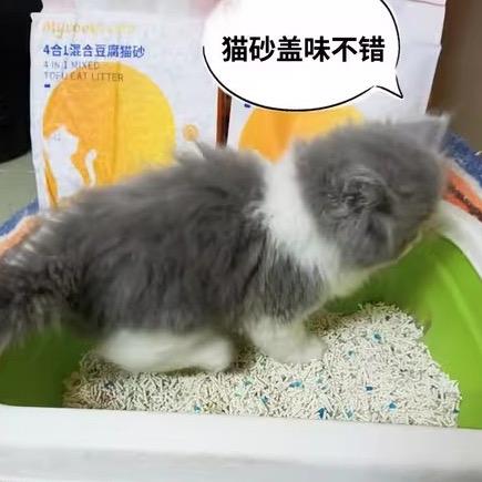 蓝沃精选
