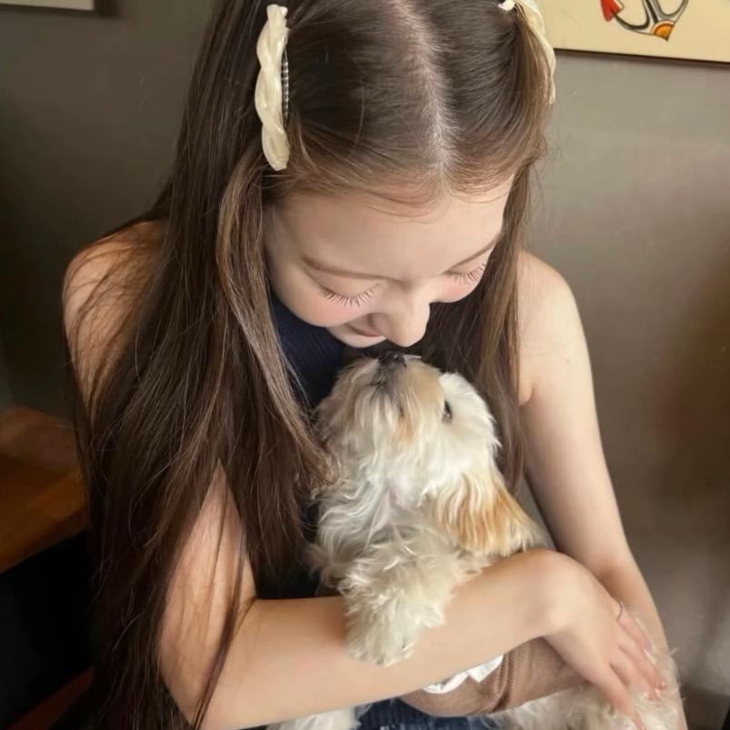 不吃葱