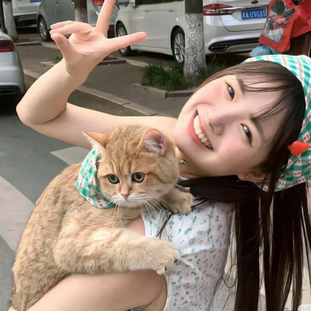小     猫.